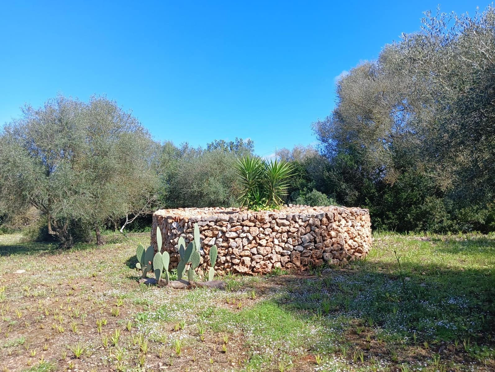 2 camera da letto Finca/Casa di Campagna in vendita in Manacor - 675.000 € (Rif: 9686539)
