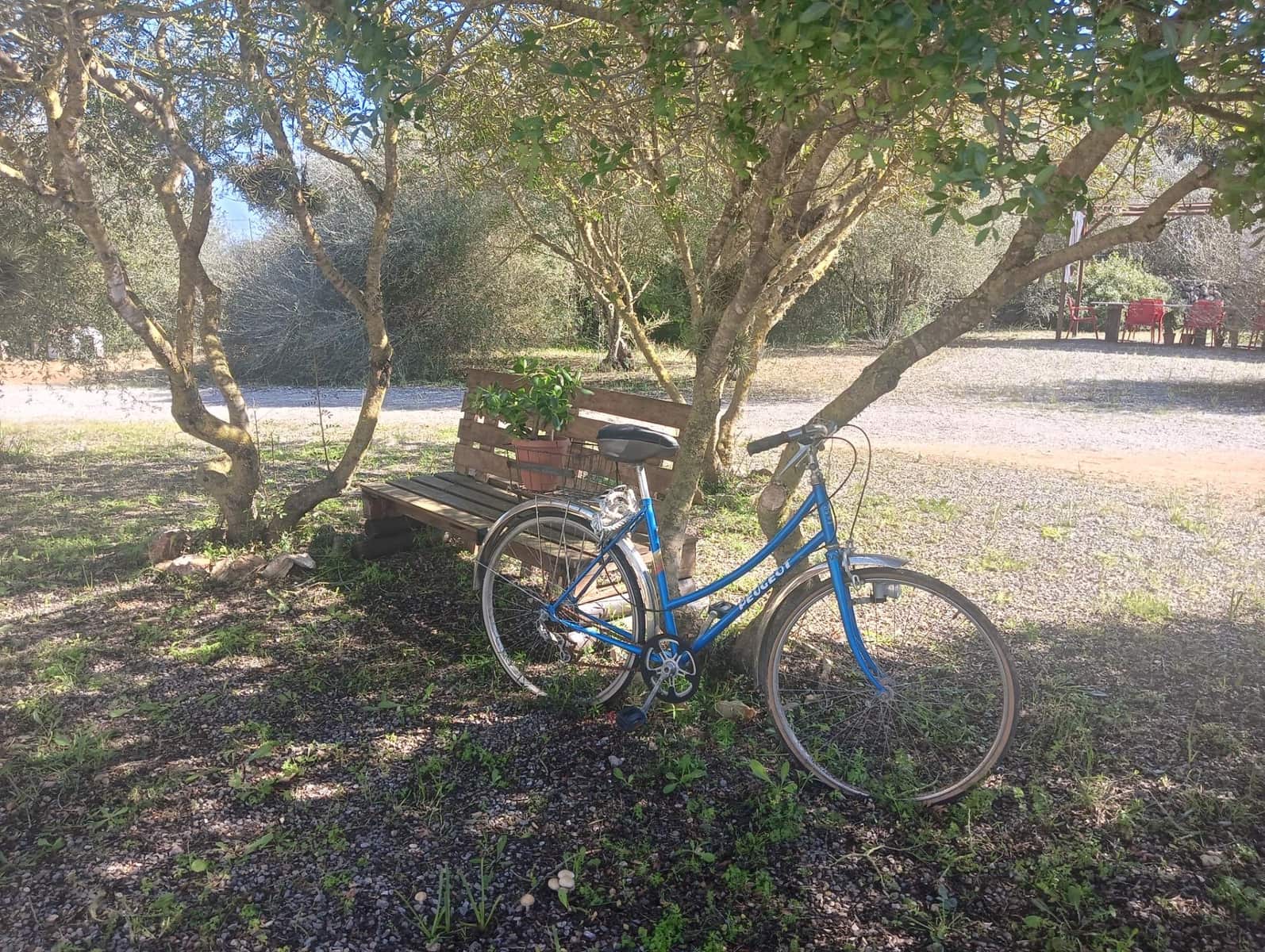 2 camera da letto Finca/Casa di Campagna in vendita in Manacor - 675.000 € (Rif: 9686539)