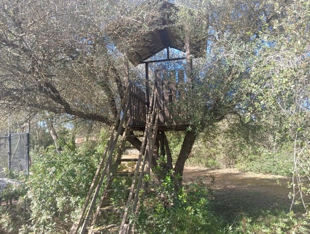 2 Zimmer Finca/Landgut zu verkaufen in Manacor - 675.000 € (Ref: 9686539)