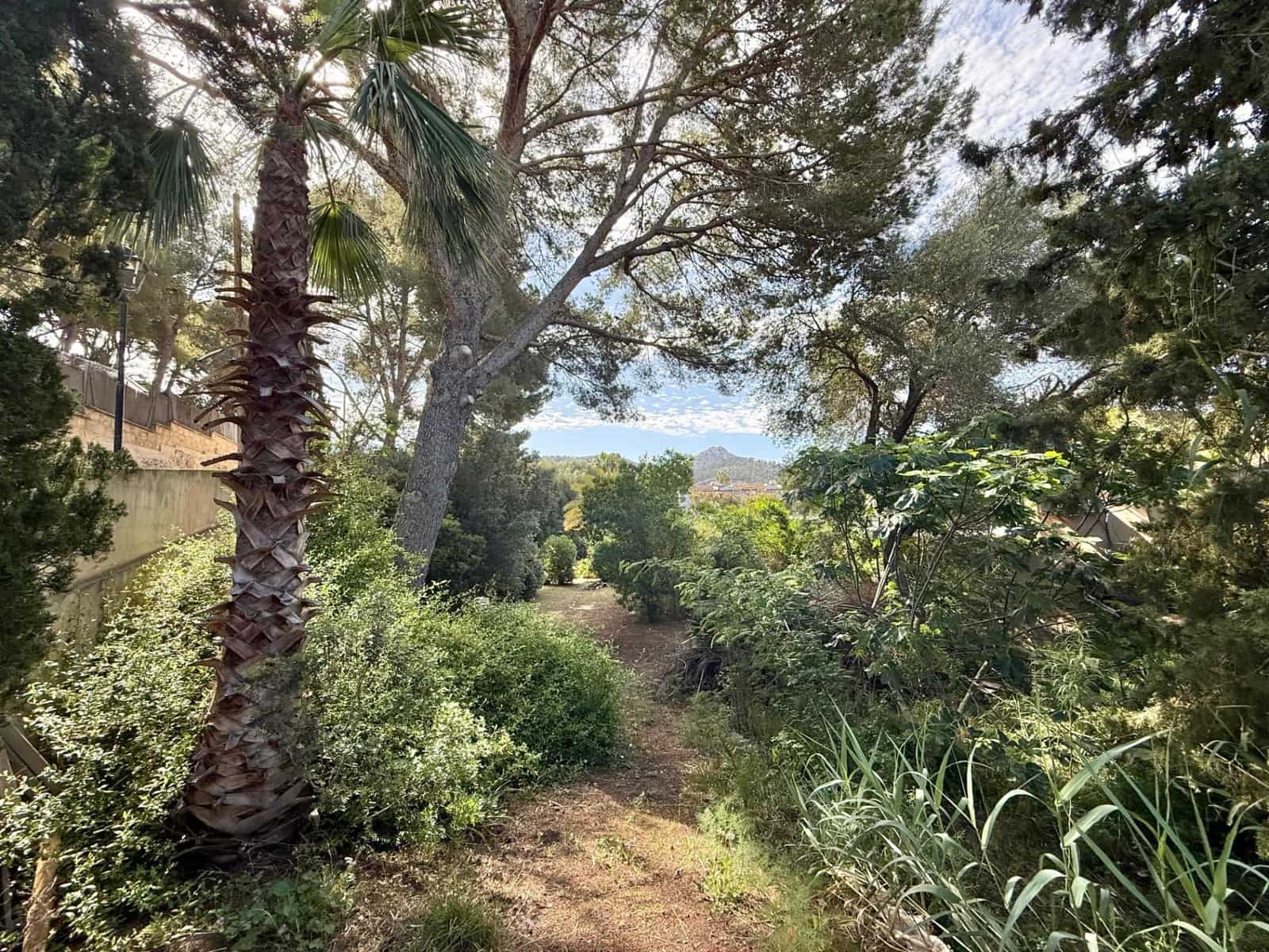 5 slaapkamer Villa te koop in Puerto de Andratx - € 1.800.000 (Ref: 9773162)