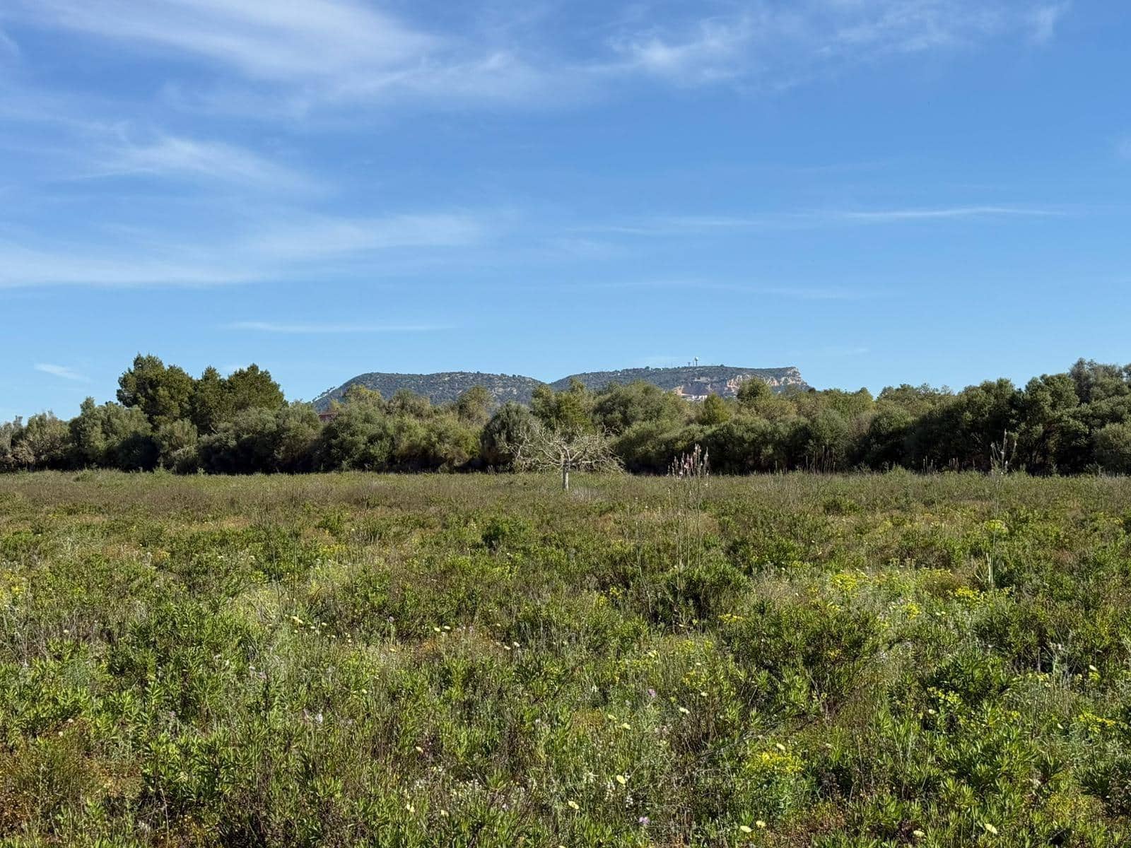 Terrain à Bâtir à vendre à Llucmajor - 495 000 € (Ref: 9797225)