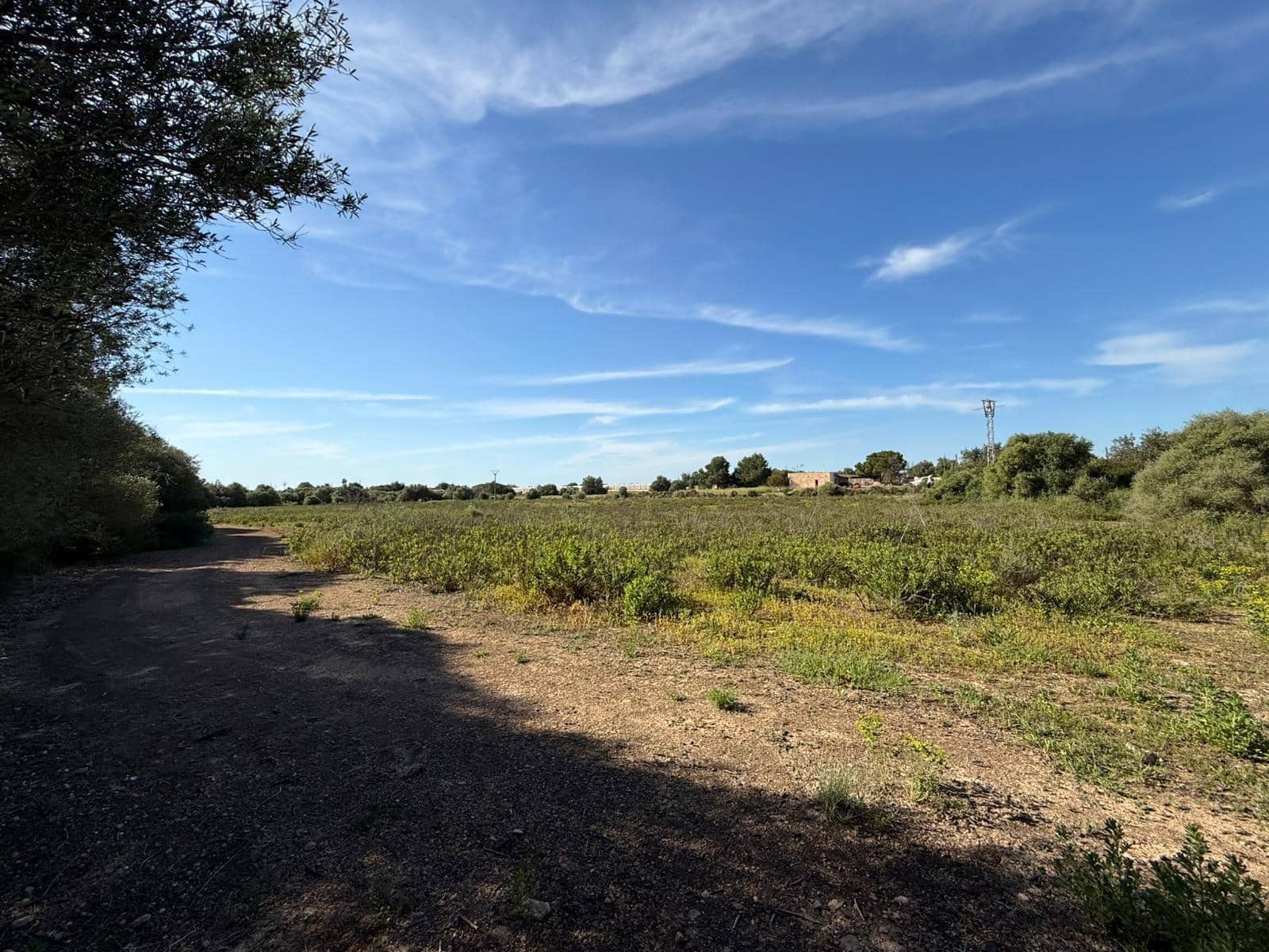 Terrain à Bâtir à vendre à Llucmajor - 495 000 € (Ref: 9797225)