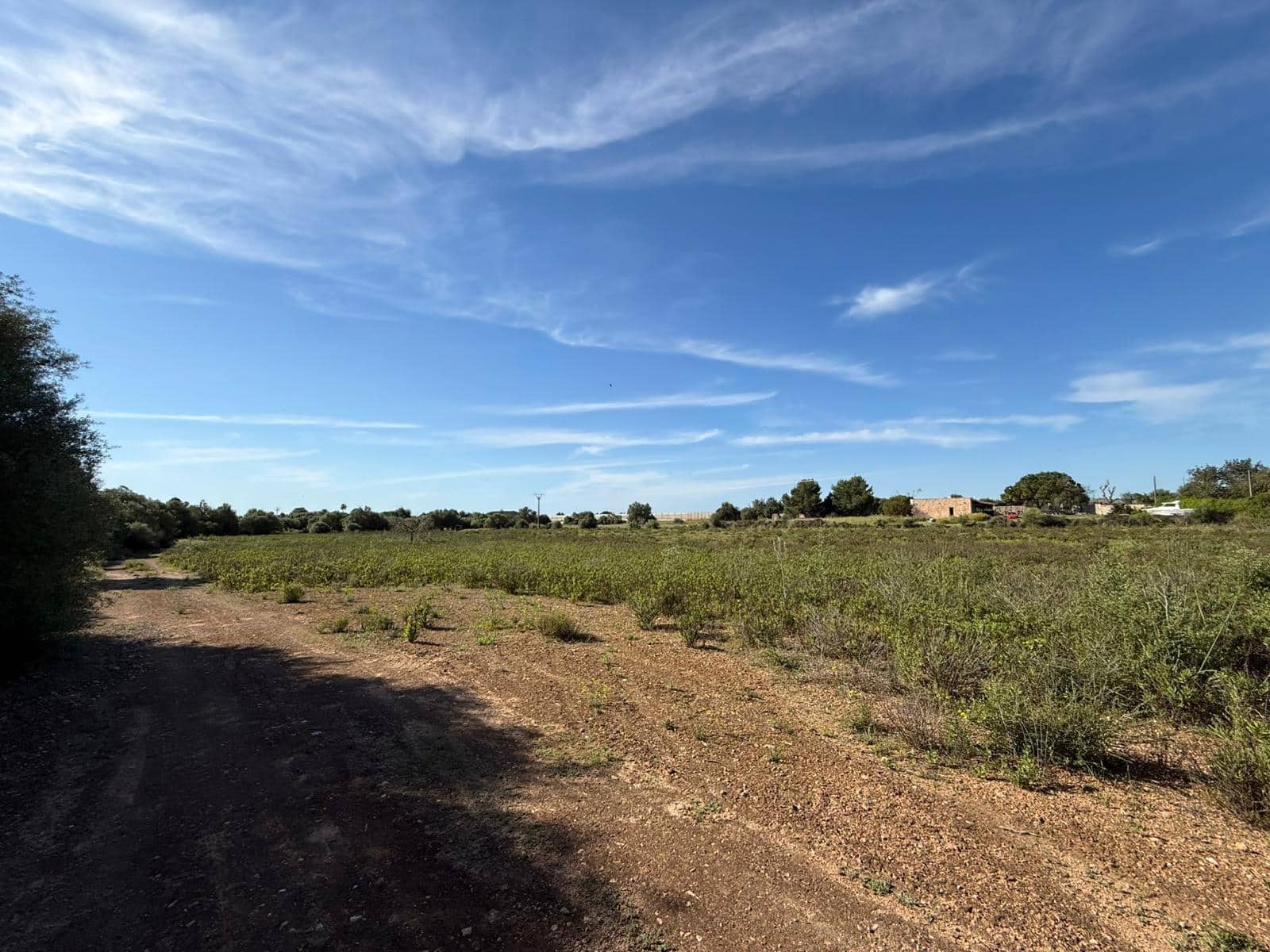 Terrain à Bâtir à vendre à Llucmajor - 495 000 € (Ref: 9797225)