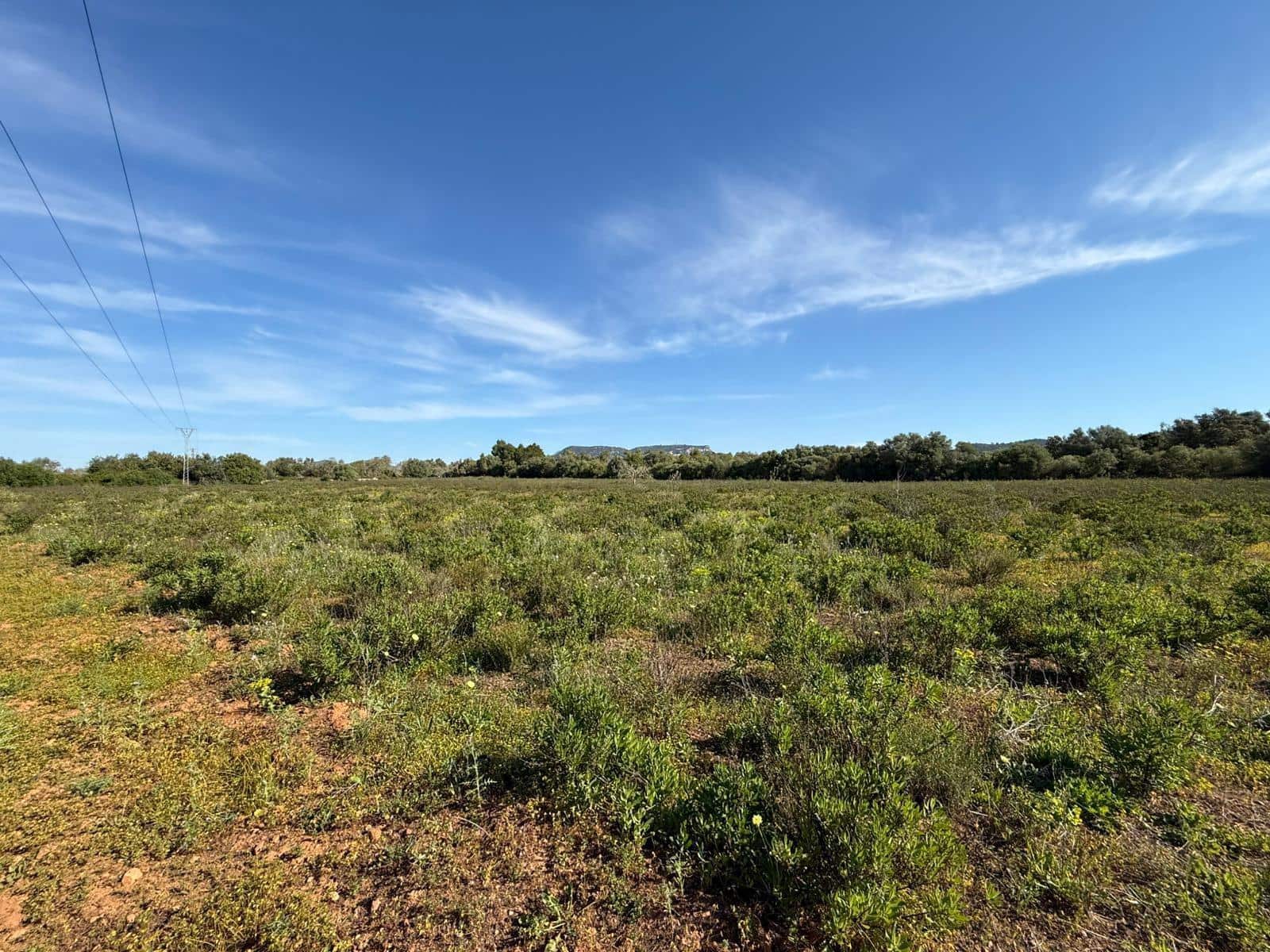 Terrain à Bâtir à vendre à Llucmajor - 495 000 € (Ref: 9797225)