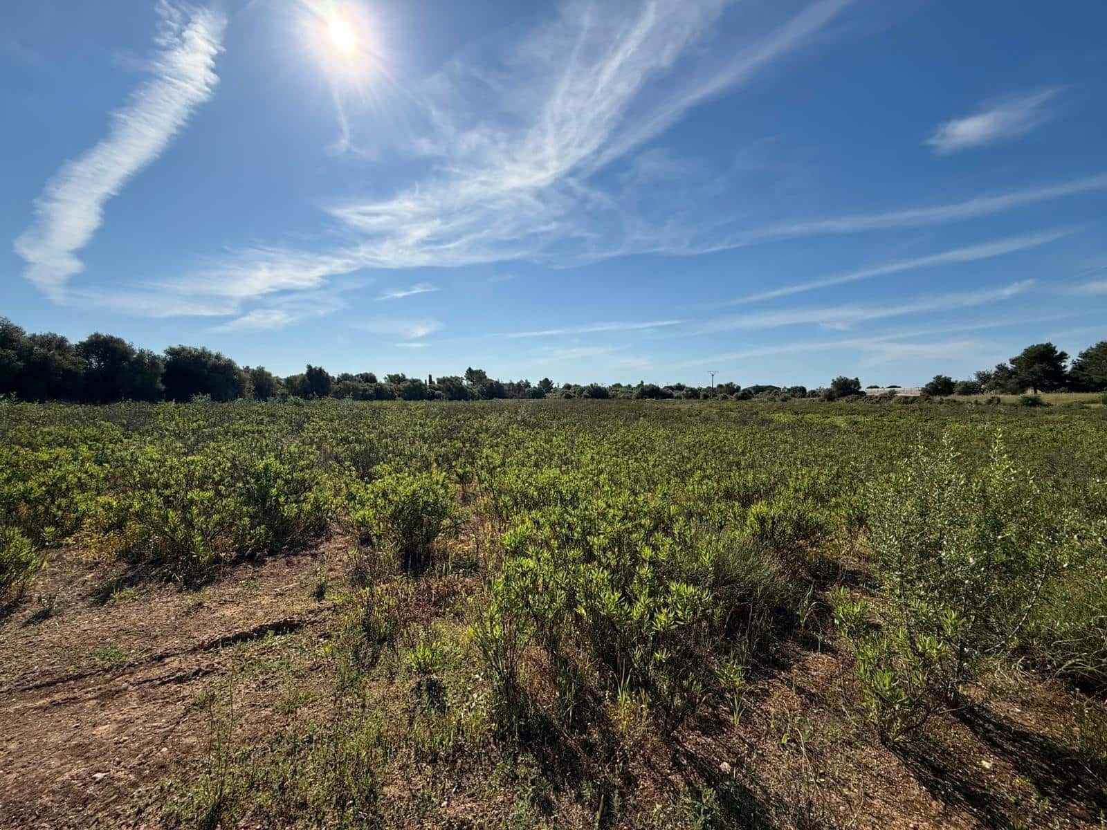 Terrain à Bâtir à vendre à Llucmajor - 495 000 € (Ref: 9797225)