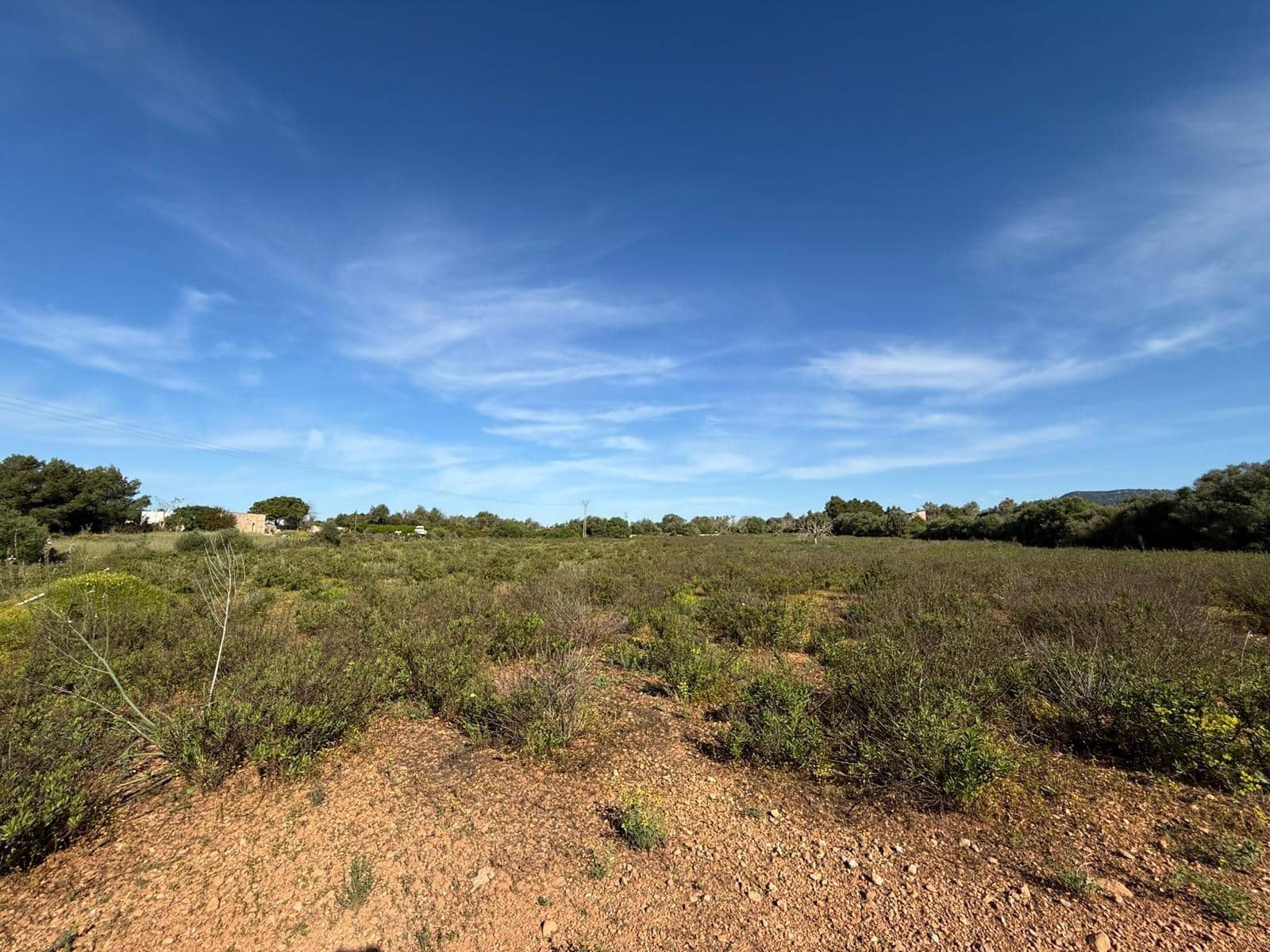 Terrain à Bâtir à vendre à Llucmajor - 495 000 € (Ref: 9797225)