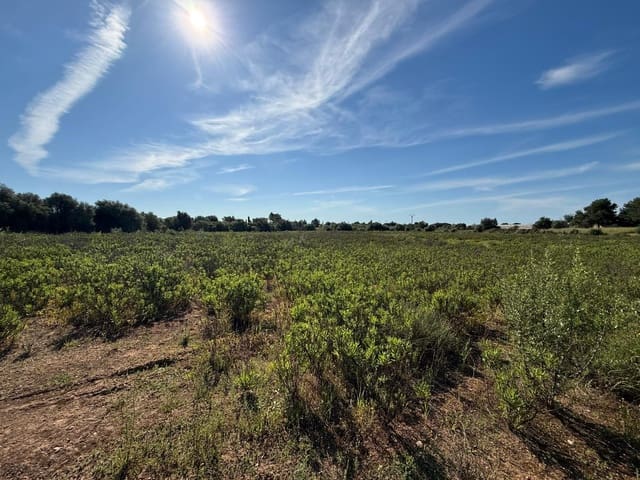 Działka budowlana na sprzedaż w Llucmajor - 495 000 € (Ref: 9797225)