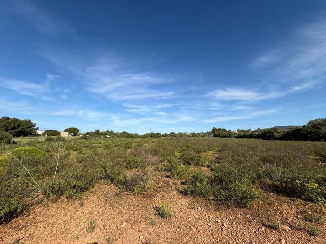 Działka budowlana na sprzedaż w Llucmajor - 495 000 € (Ref: 9797225)