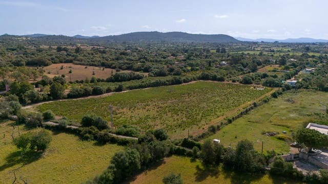 Solar/Parcela en Llucmajor en venta - 495.000 € (Ref: 9797225)