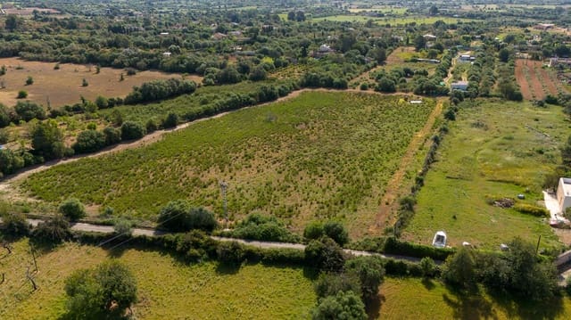 Solar/Parcela en Llucmajor en venta - 495.000 € (Ref: 9797225)