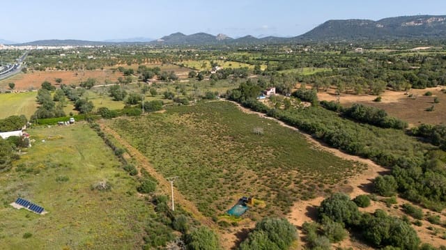 Solar/Parcela en Llucmajor en venta - 495.000 € (Ref: 9797225)