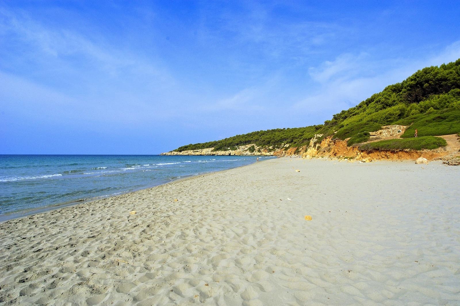 Yritys myytävänä paikassa El Migjorn Gran / Es Migjorn Gran - 940 000 € (Ref: 9808061)