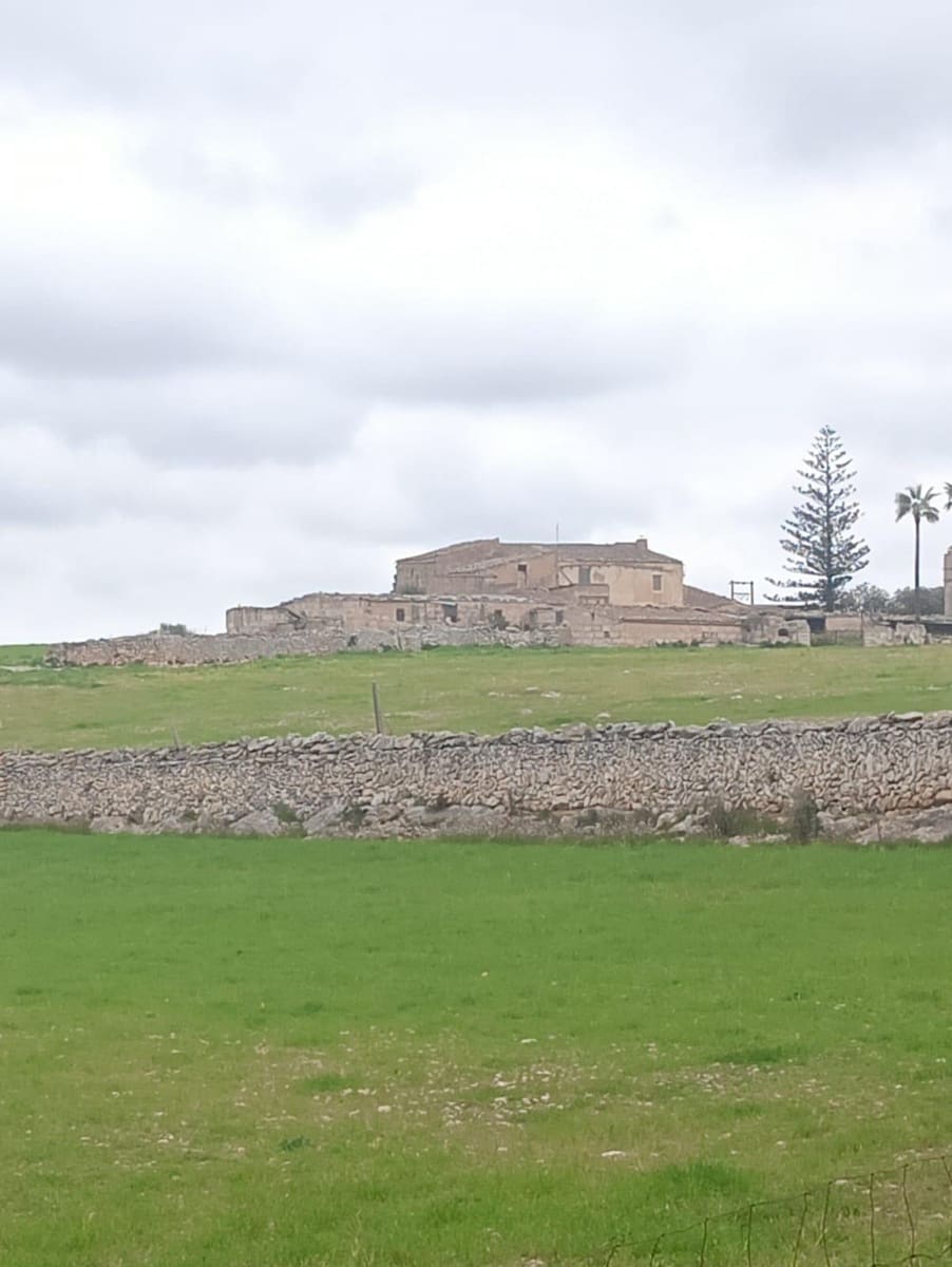 4 bedroom Finca/Country House for sale in Manacor - € 650,000 (Ref: 9817971)