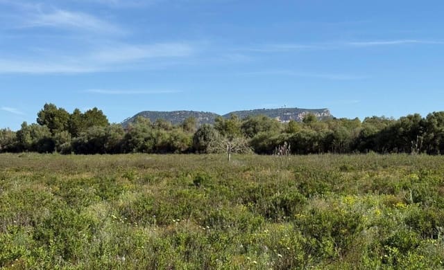 Grunde uden byggetilladelser til salg i Llucmajor - € 405.000 (Ref: 9927508)