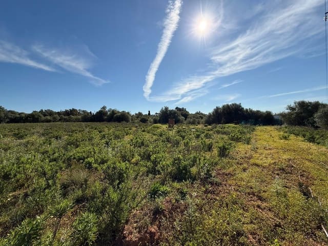 Grunde uden byggetilladelser til salg i Llucmajor - € 405.000 (Ref: 9927508)