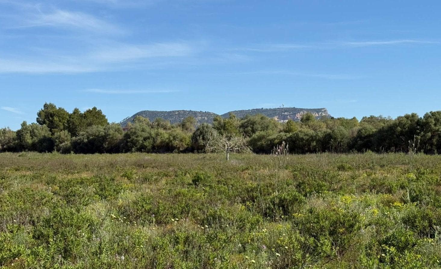 Solar/Parcela en Llucmajor en venta - 375.000 € (Ref: 9927508)