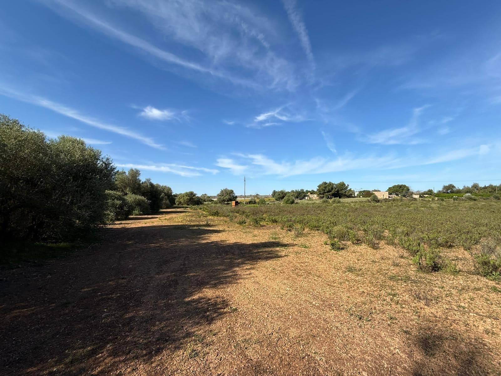 Solar/Parcela en Llucmajor en venta - 375.000 € (Ref: 9927508)