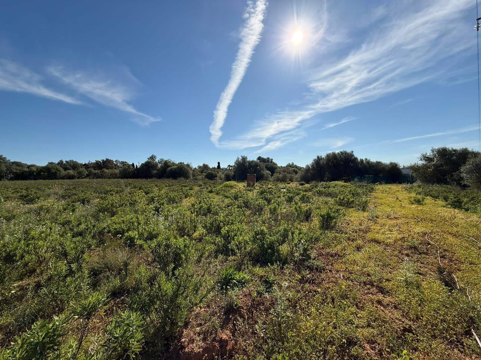 Solar/Parcela en Llucmajor en venta - 375.000 € (Ref: 9927508)