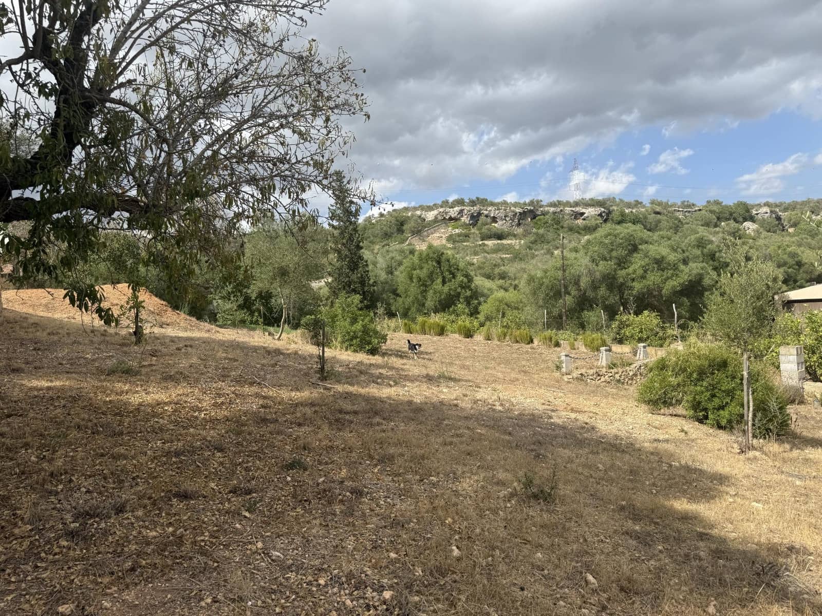 4 bedroom Finca/Country House for sale in Palma de Mallorca with pool garage - € 530,000 (Ref: 9958050)