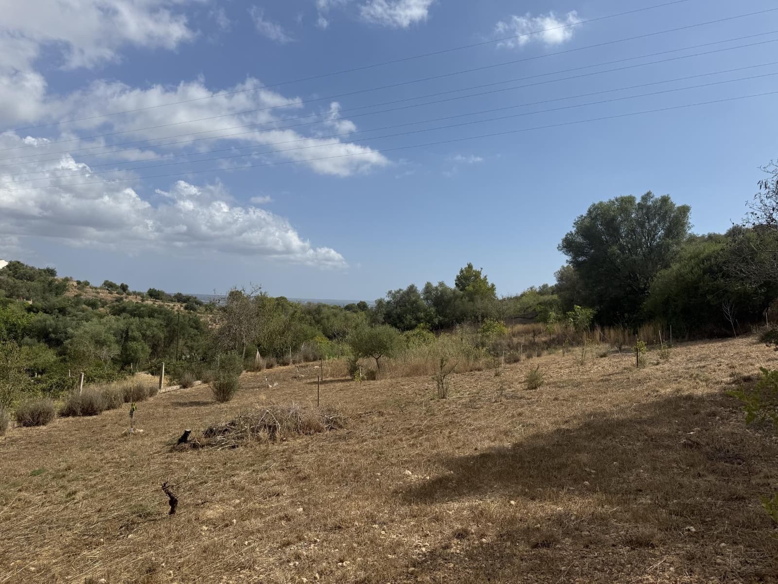 4 bedroom Finca/Country House for sale in Palma de Mallorca with pool garage - € 530,000 (Ref: 9958050)