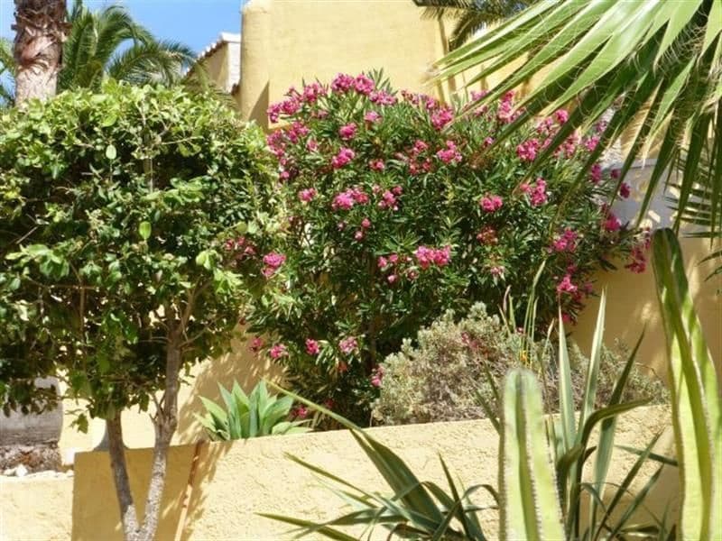 3 sovrum Villa till salu i Benitachell / Benitatxell med pool garage - 695 000 € (Ref: 8583466)