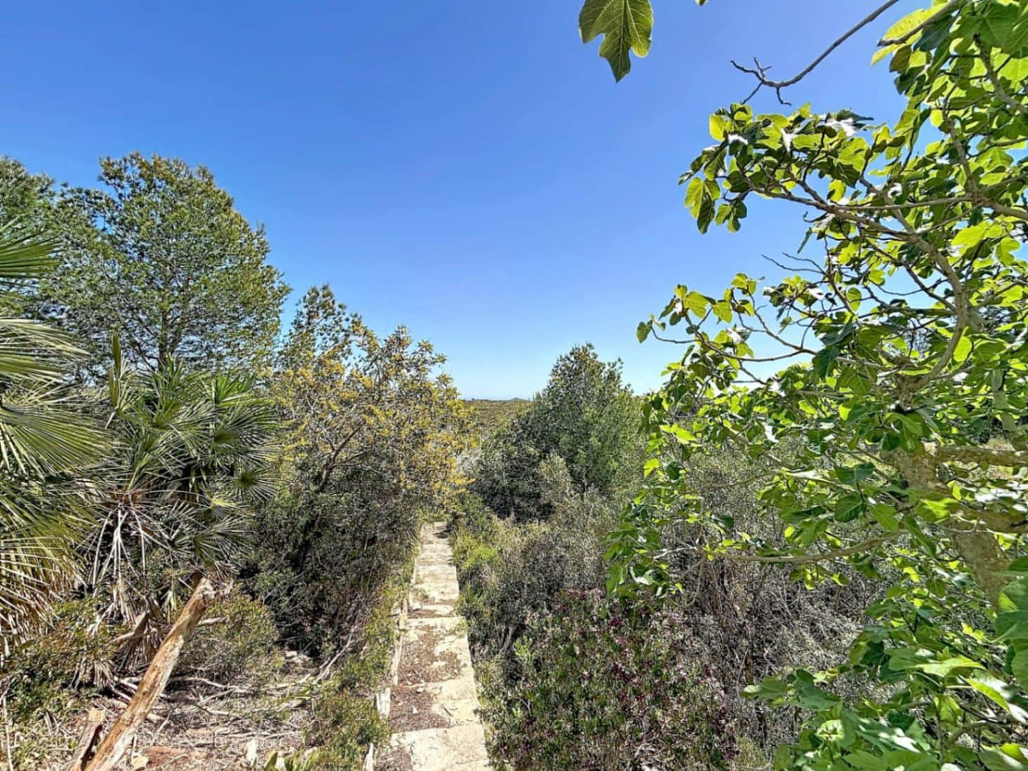 3 quarto Moradia para venda em Cumbre del Sol com garagem - 320 000 € (Ref: 9799987)