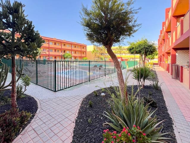 2 Zimmer Apartment zu verkaufen in Parque Holandés, La Oliva mit Pool Garage - 185.000 € (Ref: 10146303)