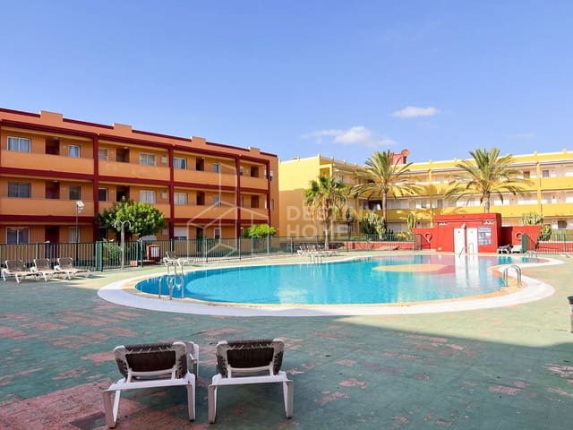 2 Zimmer Apartment zu verkaufen in Parque Holandés, La Oliva mit Pool Garage - 185.000 € (Ref: 10146303)