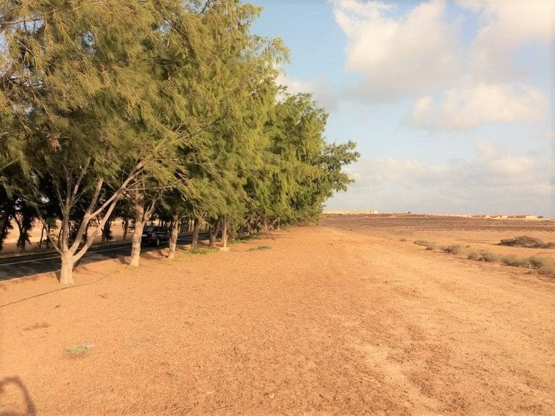 Grunde uden byggetilladelser til salg i Nuevo Horizonte - € 30.000 (Ref: 4867739)