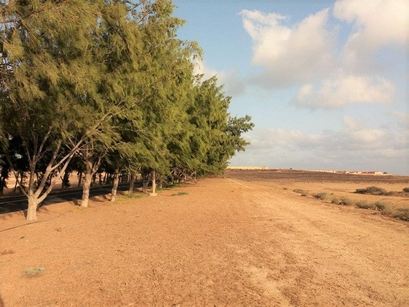 Grunde uden byggetilladelser til salg i Nuevo Horizonte - € 30.000 (Ref: 4867739)