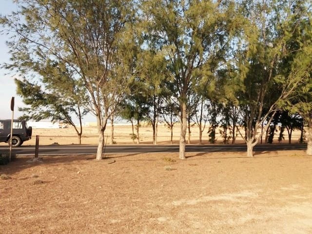 Terre non Aménagée à vendre à Nuevo Horizonte, Antigua - 30 000 € (Ref: 4867739)