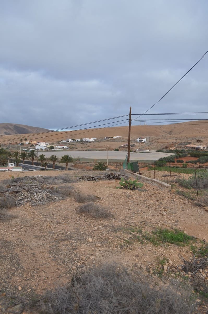 3 soveværelse Finca/Landehus til salg i Pajara - € 300.000 (Ref: 6795564)