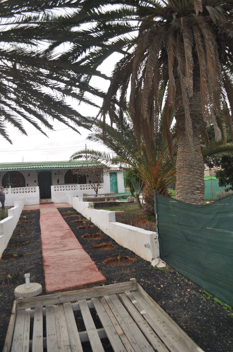 3 soveværelse Finca/Landehus til salg i Pajara - € 300.000 (Ref: 6795564)