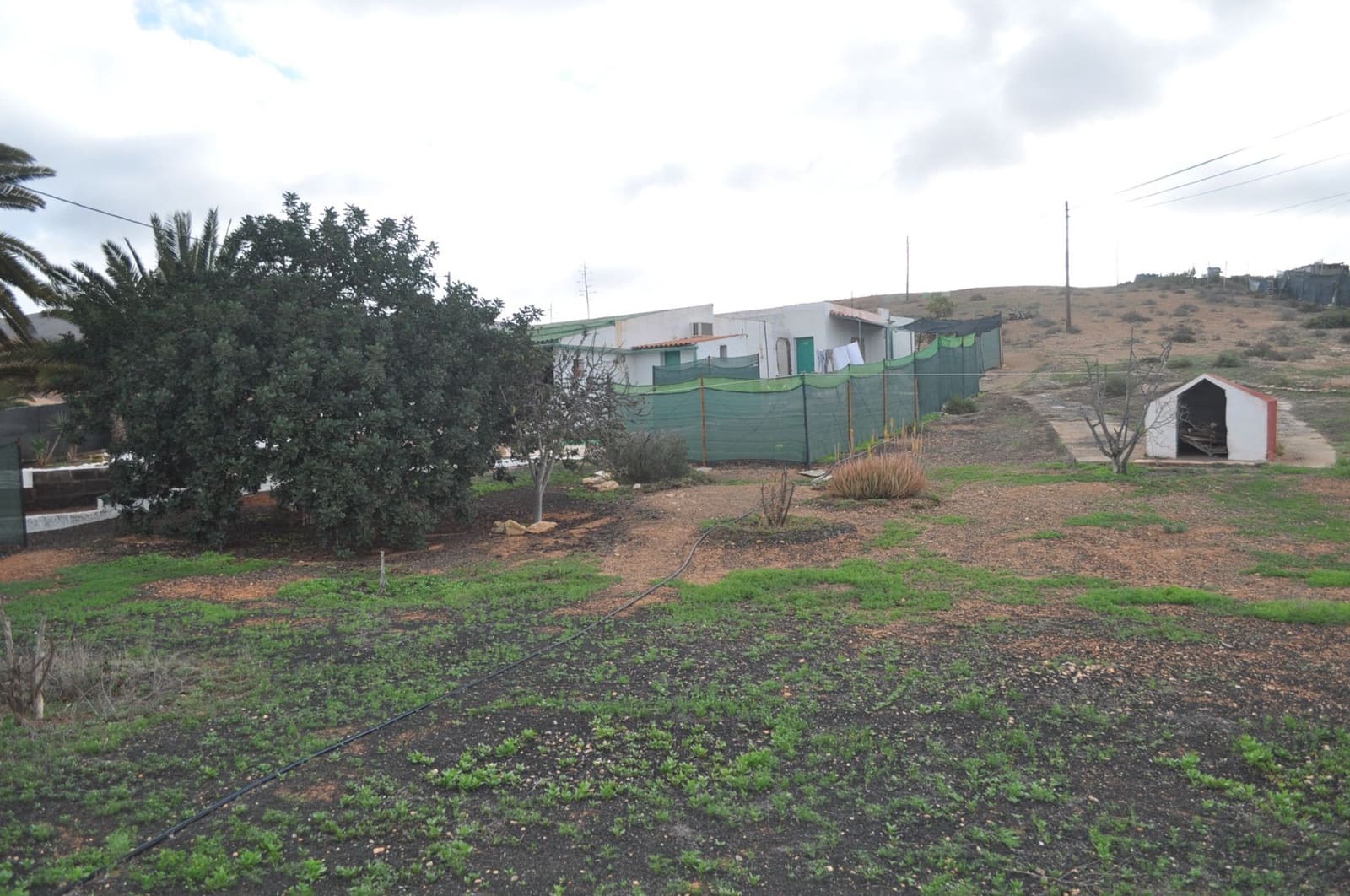 3 soveværelse Finca/Landehus til salg i Pajara - € 300.000 (Ref: 6795564)