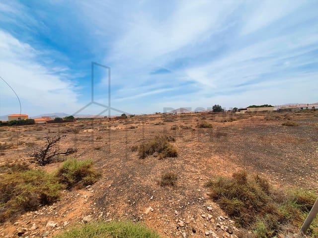 Terre non Aménagée à vendre à Tuineje - 250 000 € (Ref: 6836740)