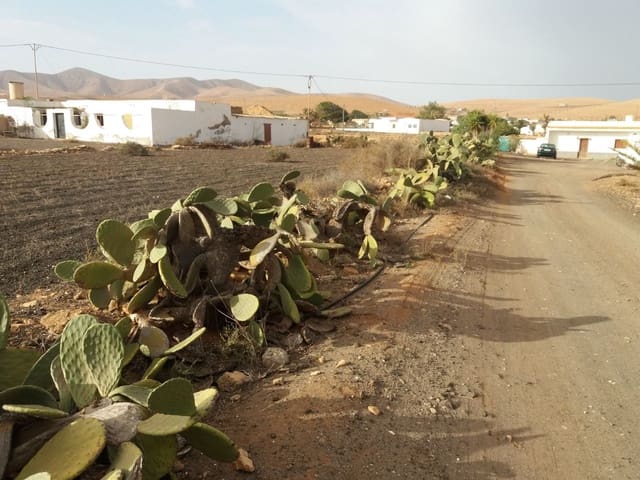 Terre non Aménagée à vendre à Llanos de la Concepción, Puerto del Rosario - 70 000 € (Ref: 7475405)