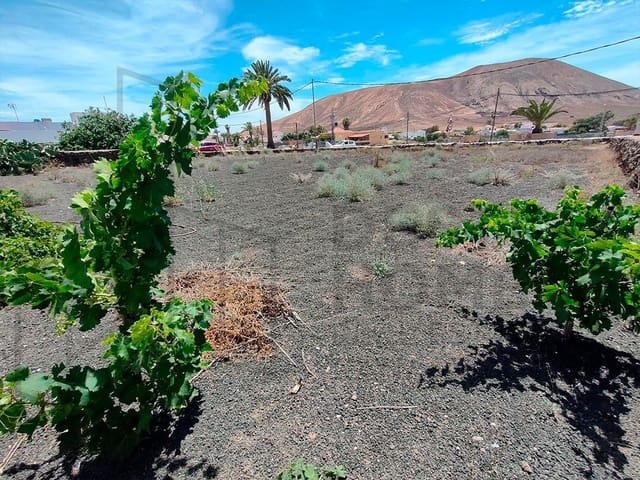 Rakentamaton maa myytävänä paikassa Villaverde, La Oliva - 96 000 € (Ref: 7634950)