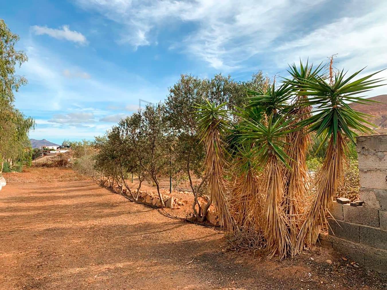 3 soveværelse Villa til salg i Tuineje med swimmingpool garage - € 469.000 (Ref: 7891240)