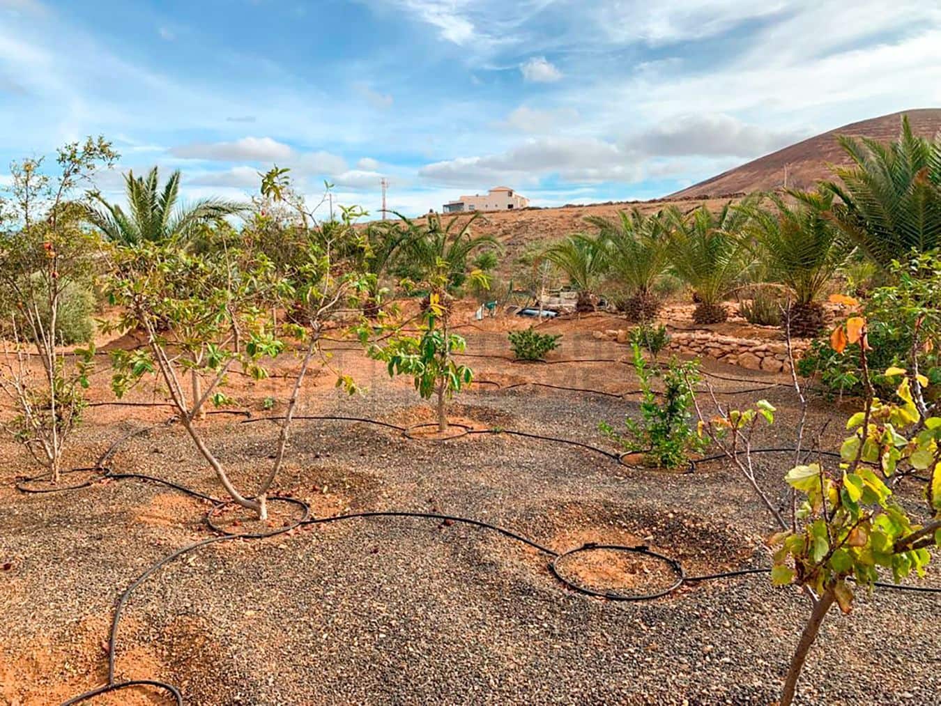 3 soveværelse Villa til salg i Tuineje med swimmingpool garage - € 469.000 (Ref: 7891240)