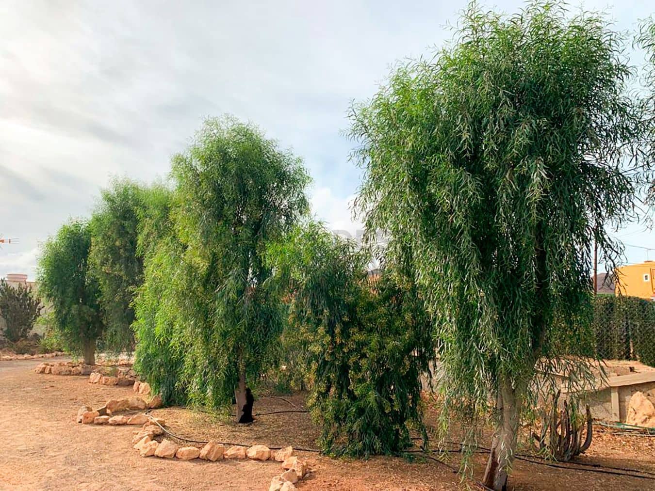 3 soveværelse Villa til salg i Tuineje med swimmingpool garage - € 469.000 (Ref: 7891240)