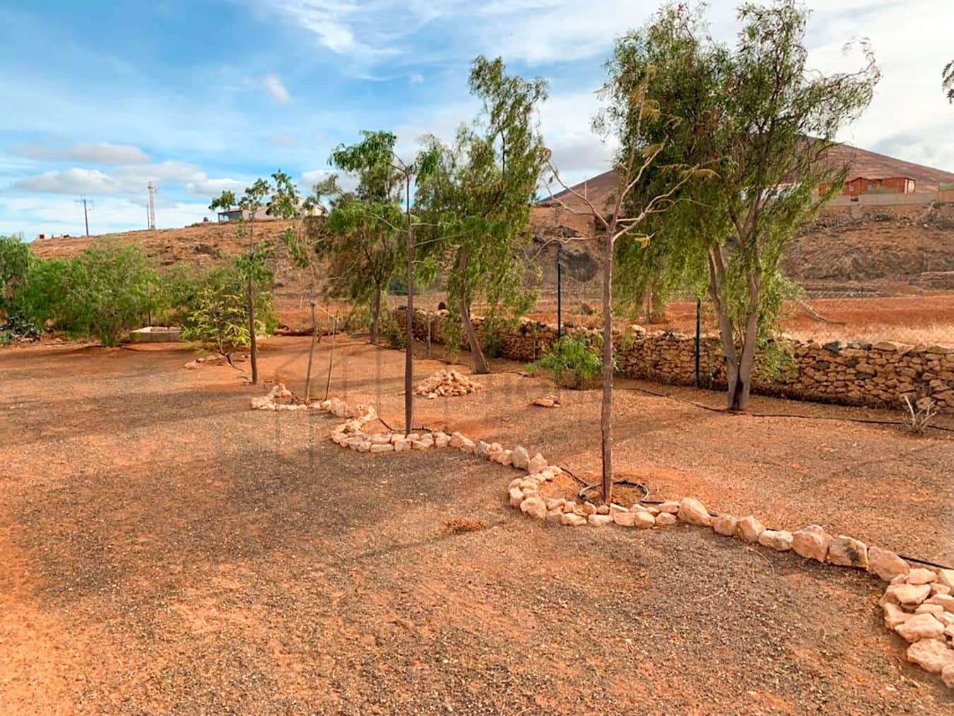 3 soveværelse Villa til salg i Tuineje med swimmingpool garage - € 469.000 (Ref: 7891240)