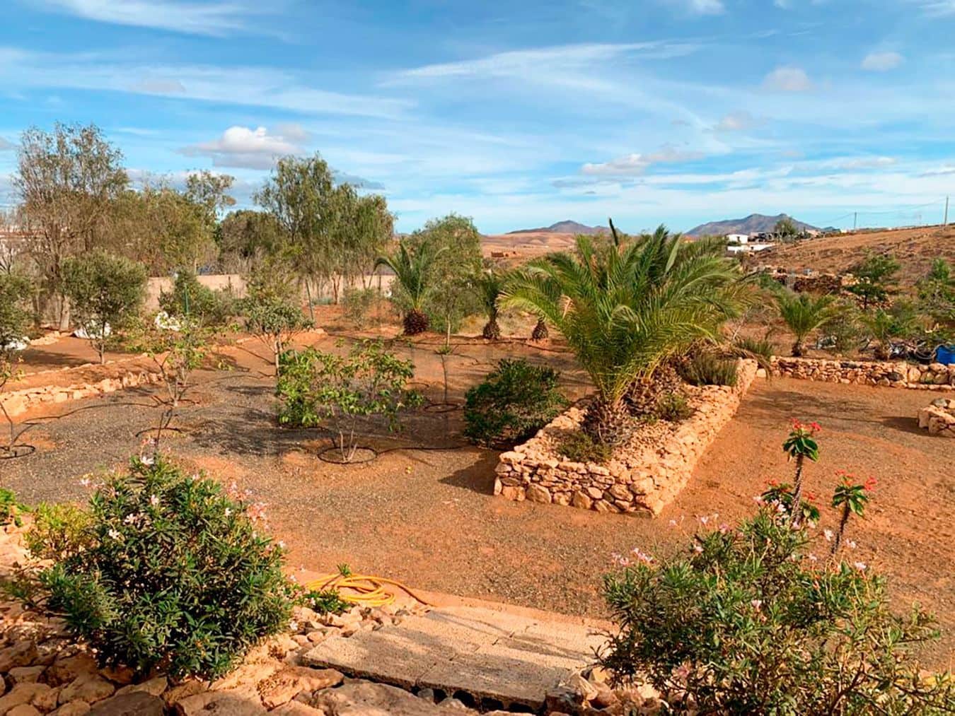 3 soveværelse Villa til salg i Tuineje med swimmingpool garage - € 469.000 (Ref: 7891240)