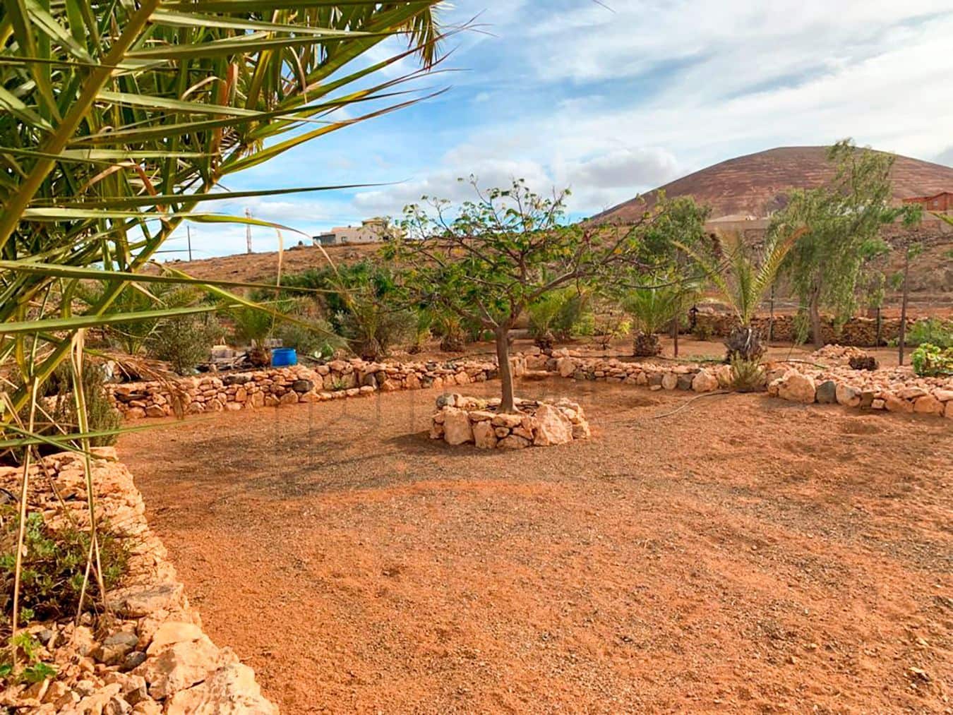 3 soveværelse Villa til salg i Tuineje med swimmingpool garage - € 469.000 (Ref: 7891240)