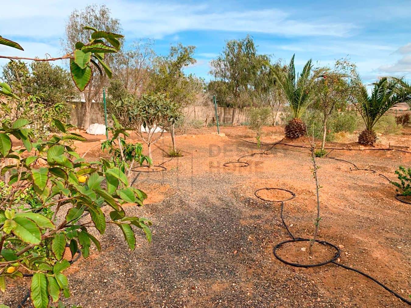 3 soveværelse Villa til salg i Tuineje med swimmingpool garage - € 469.000 (Ref: 7891240)