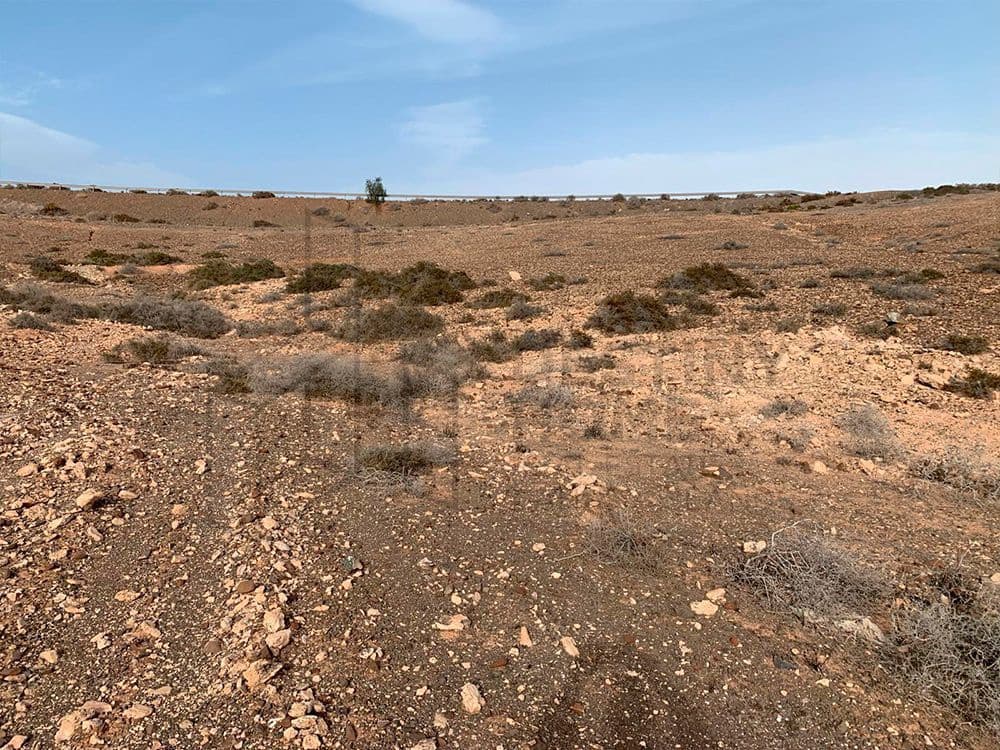 Grunde uden byggetilladelser til salg i Tuineje - € 105.000 (Ref: 8073067)