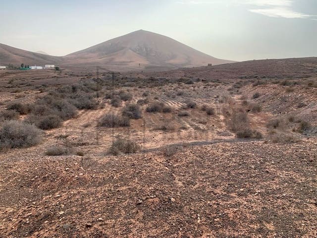 Grunde uden byggetilladelser til salg i Tuineje - € 105.000 (Ref: 8073067)