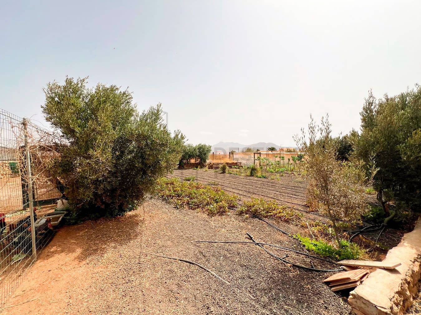 3 soveværelse Villa til salg i Llanos de la Concepcion med garage - € 650.000 (Ref: 8449924)