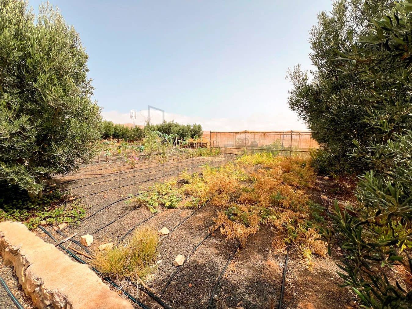 3 soveværelse Villa til salg i Llanos de la Concepcion med garage - € 650.000 (Ref: 8449924)