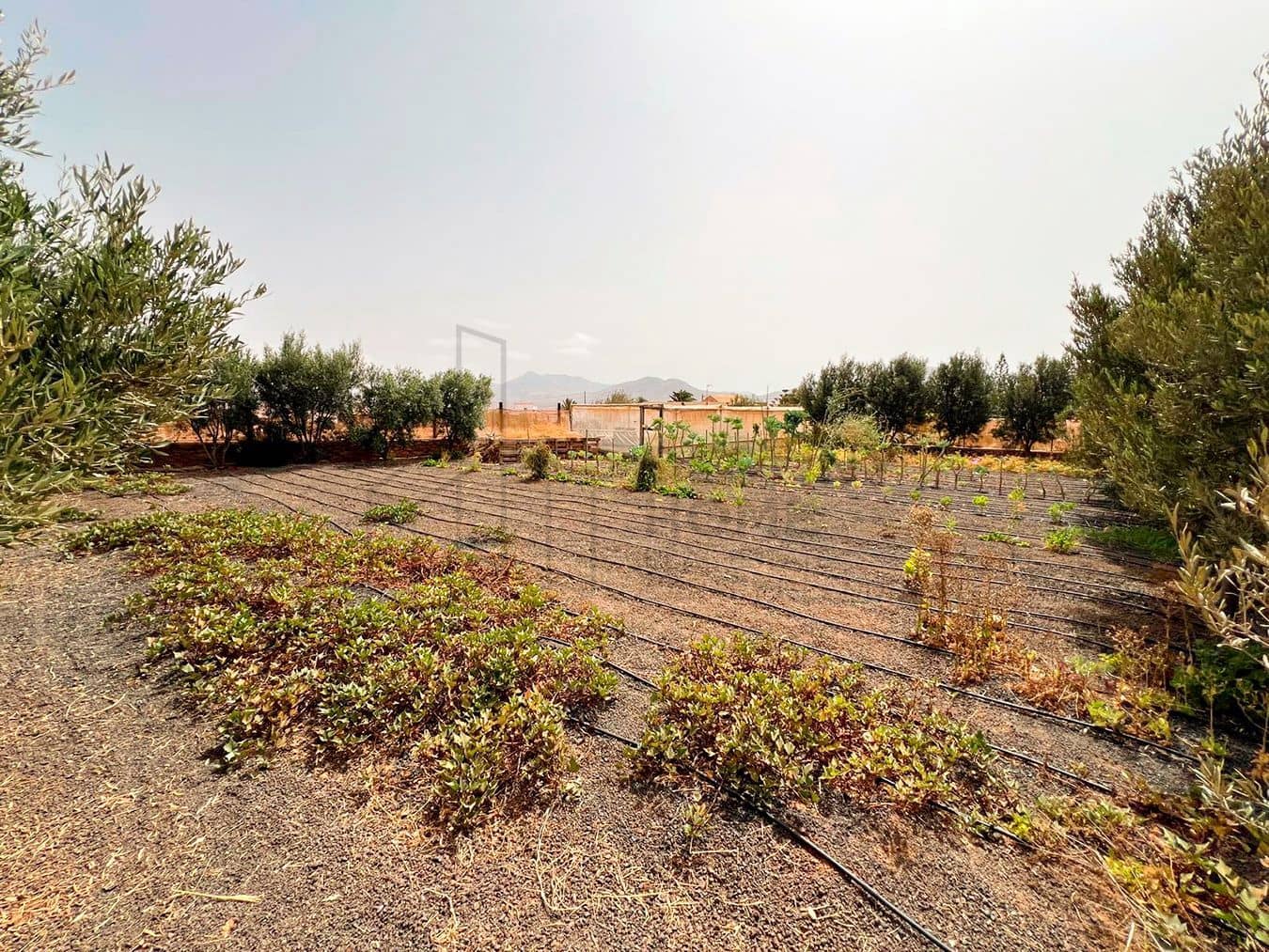 3 soveværelse Villa til salg i Llanos de la Concepcion med garage - € 650.000 (Ref: 8449924)