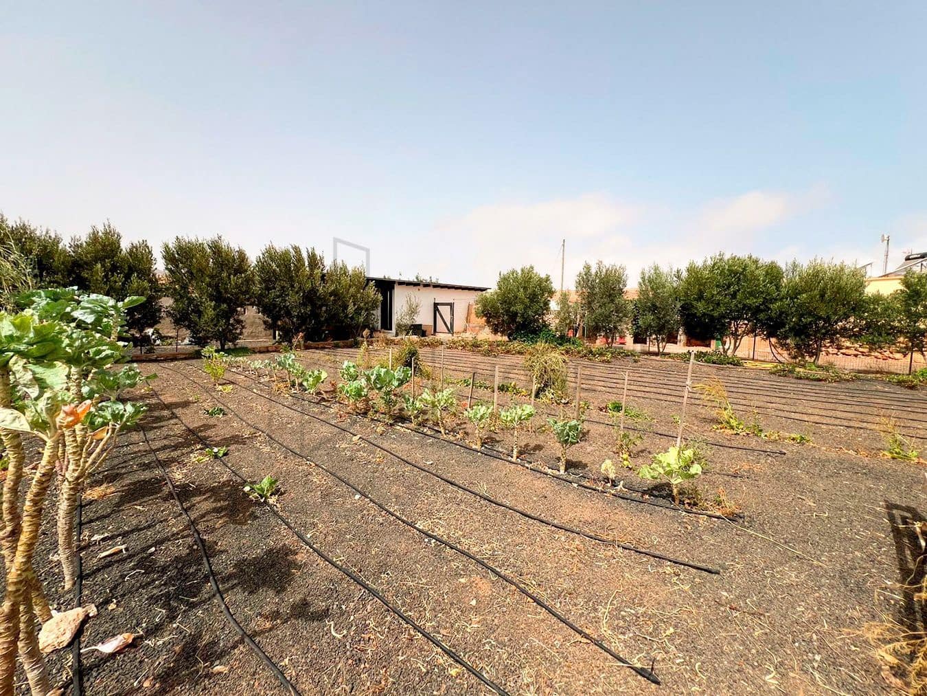 3 soveværelse Villa til salg i Llanos de la Concepcion med garage - € 650.000 (Ref: 8449924)